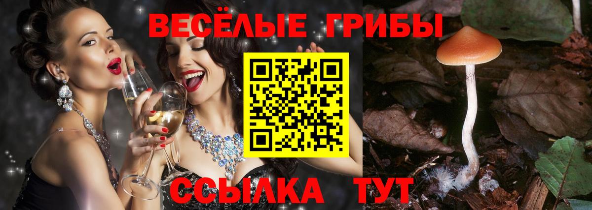 Псилоцибиновые грибы мицелий  Вход с VPN  Сальск 