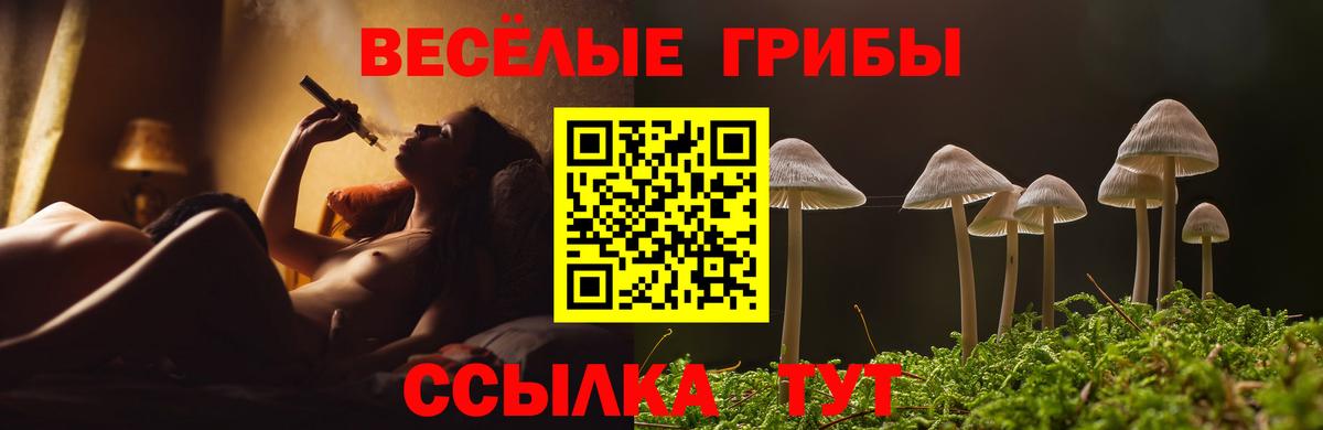 Псилоцибиновые грибы Cubensis Сальск
